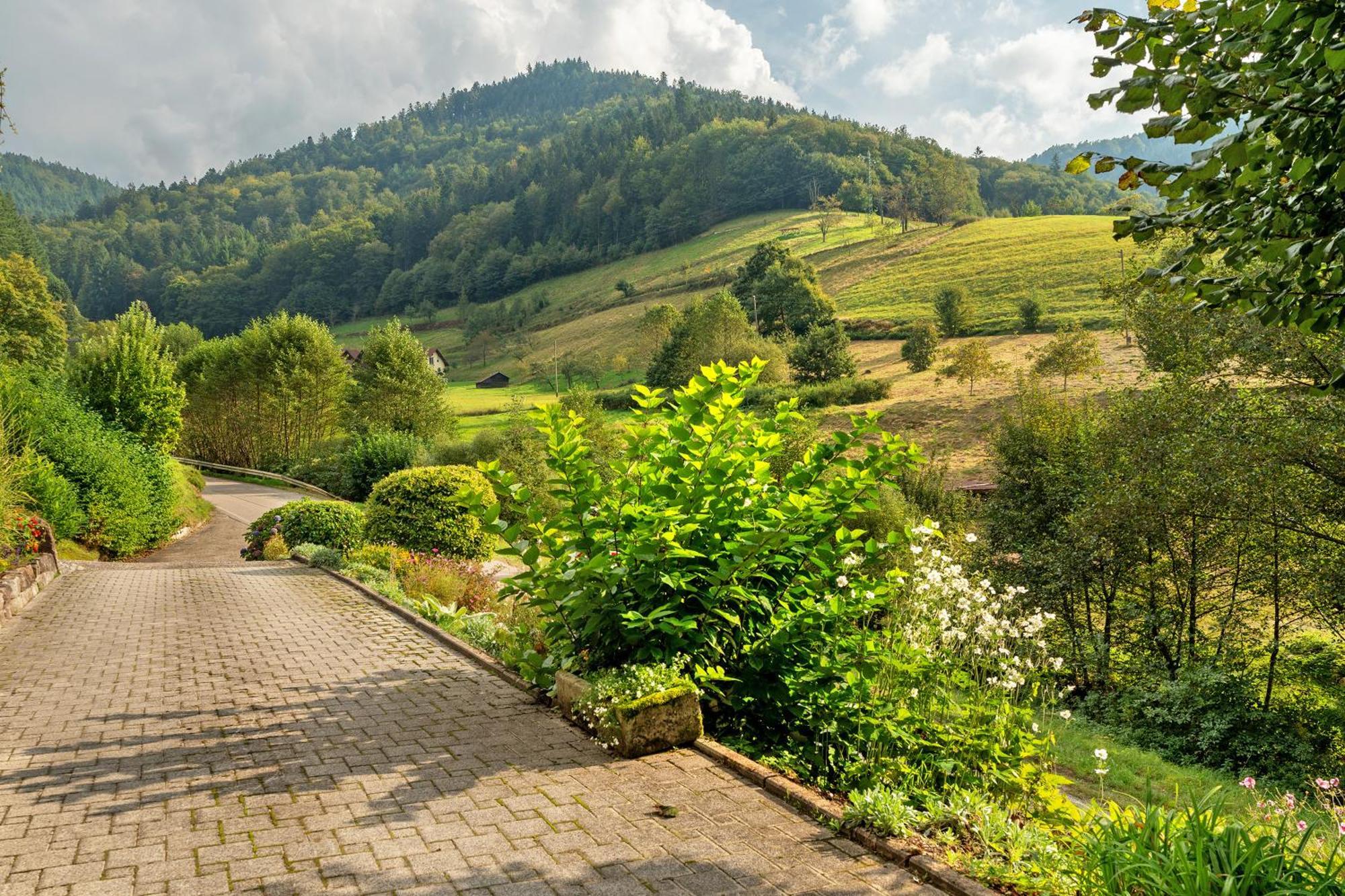 Haus Schindler Apartment Ottenhofen im Schwarzwald Ngoại thất bức ảnh