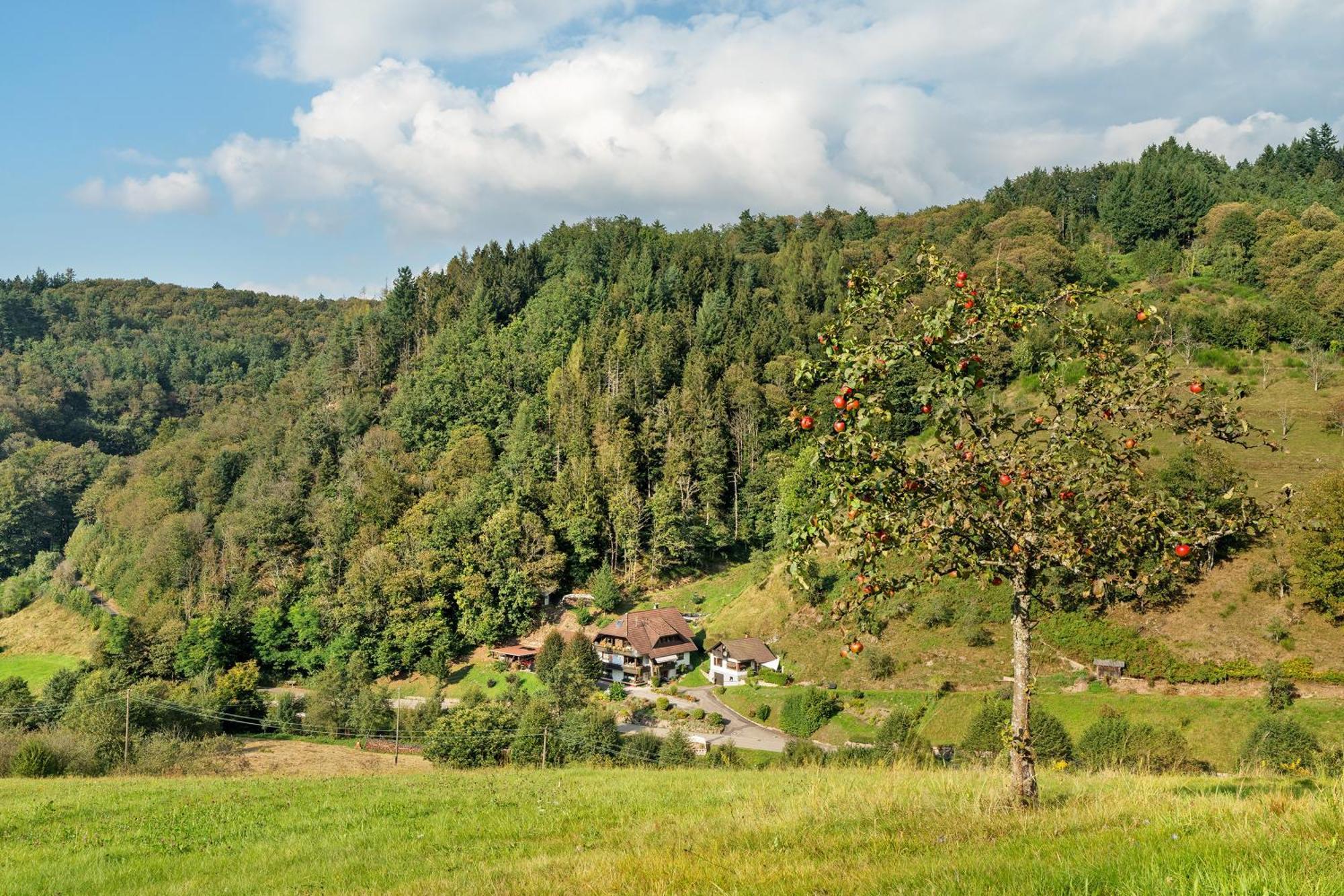 Haus Schindler Apartment Ottenhofen im Schwarzwald Ngoại thất bức ảnh